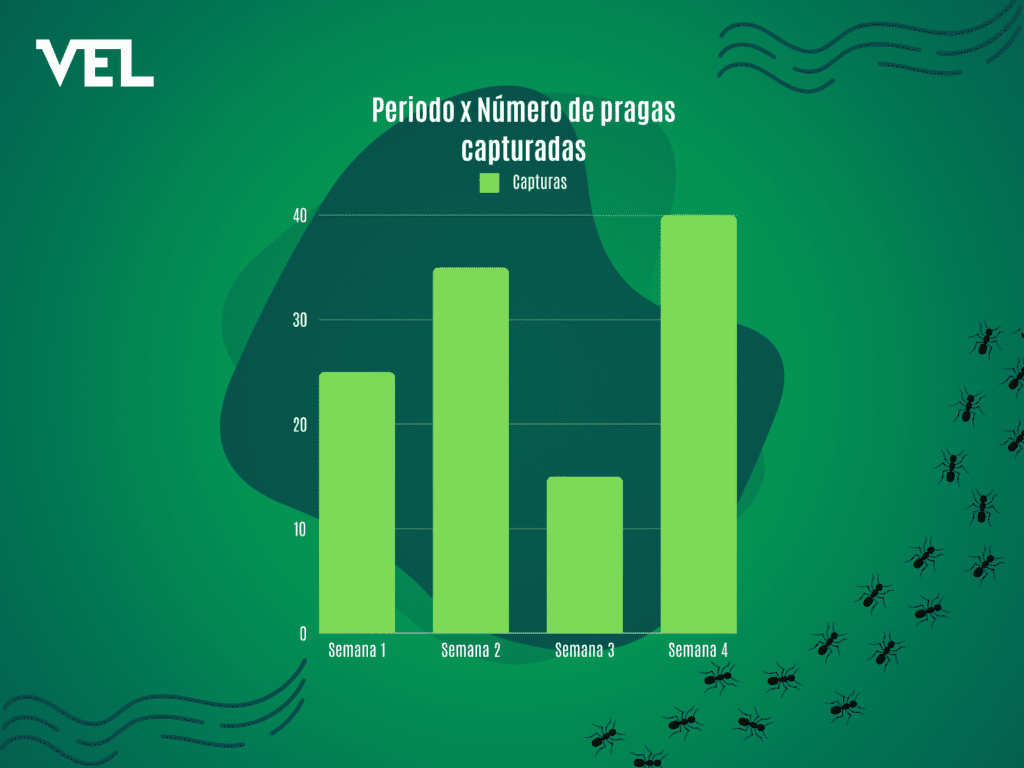 grafico com indicadores do periodo e do numero de pragas capturadas gerado em um projeto cip-mip