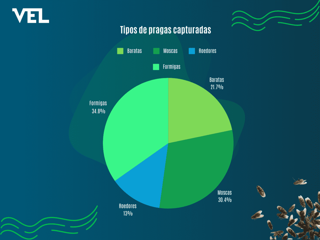 grafico com tipos de pragas capturadas gerados em um projeto cip